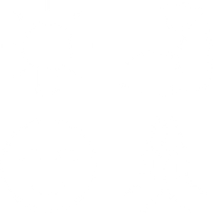icons 4er